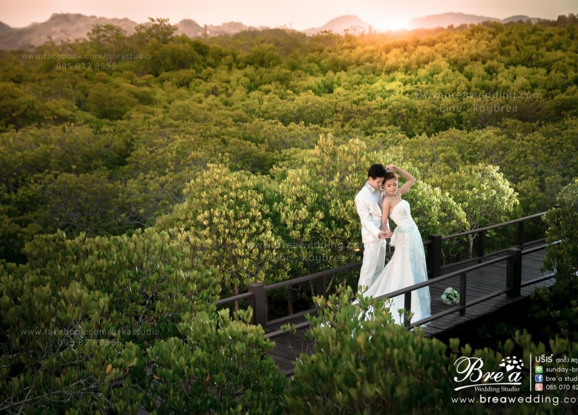 หาช่างภาพงานแต่ง รับถ่ายภาพพรีเวดดิงทะเล รับถ่ายภาพงานแต่ง ช่างภาพงานแต่งงาน ถ่ายภาพ พรีเวดดิ้งอุทยานประจวบ