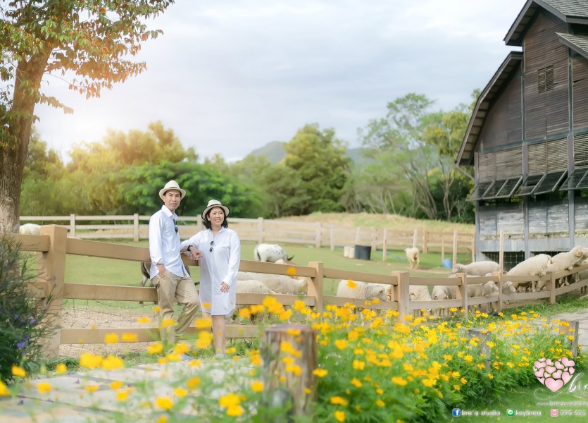 Preweddingpromoพรีโม่0276 เขาใหญ่Thepudgarden